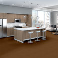 FUTURE-GENERATIONS-54644-GOLDEN-AGE-44201-room-image