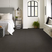 FUTURE-GENERATIONS-54644-CENTURY-44505-room-image