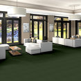 WINDSURF-54688-SIMPLY-GREEN-00300-room-image