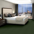 WINDSURF-54688-SIMPLY-GREEN-00300-room-image