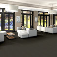 WINDSURF-54688-HUMMINGBIRD-00301-room-image