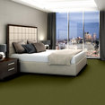 SUMMER-STOCK-54691-OLIVE-AMBER-00300-room-image