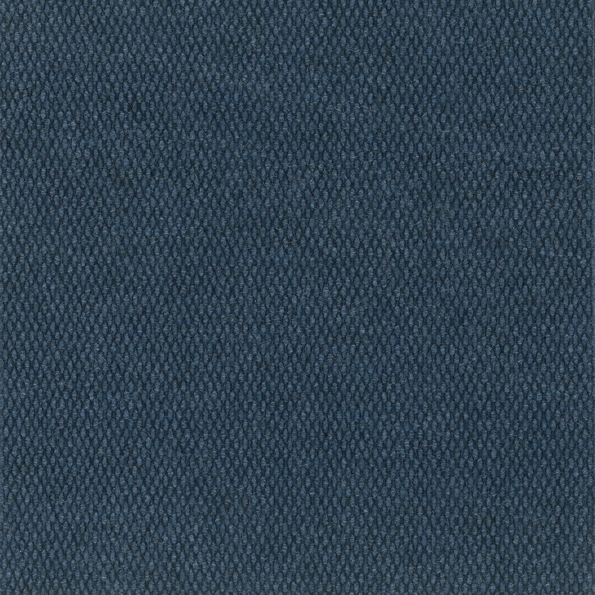 Commons II-Indigo-54693_00400