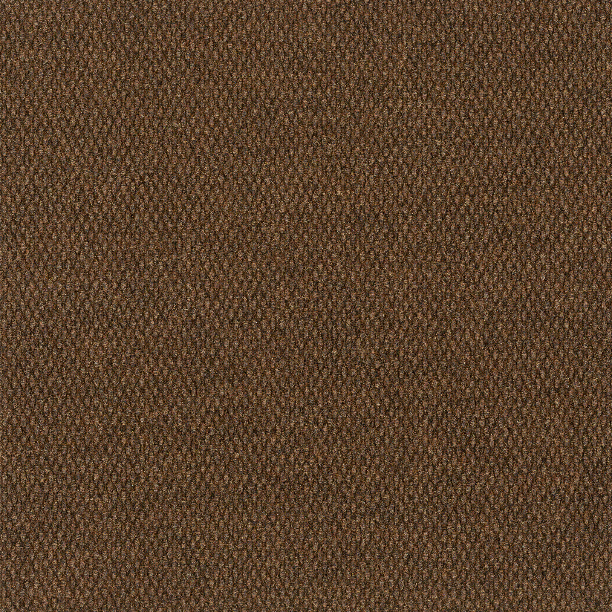 Commons II-Cinnabark-54693_00601