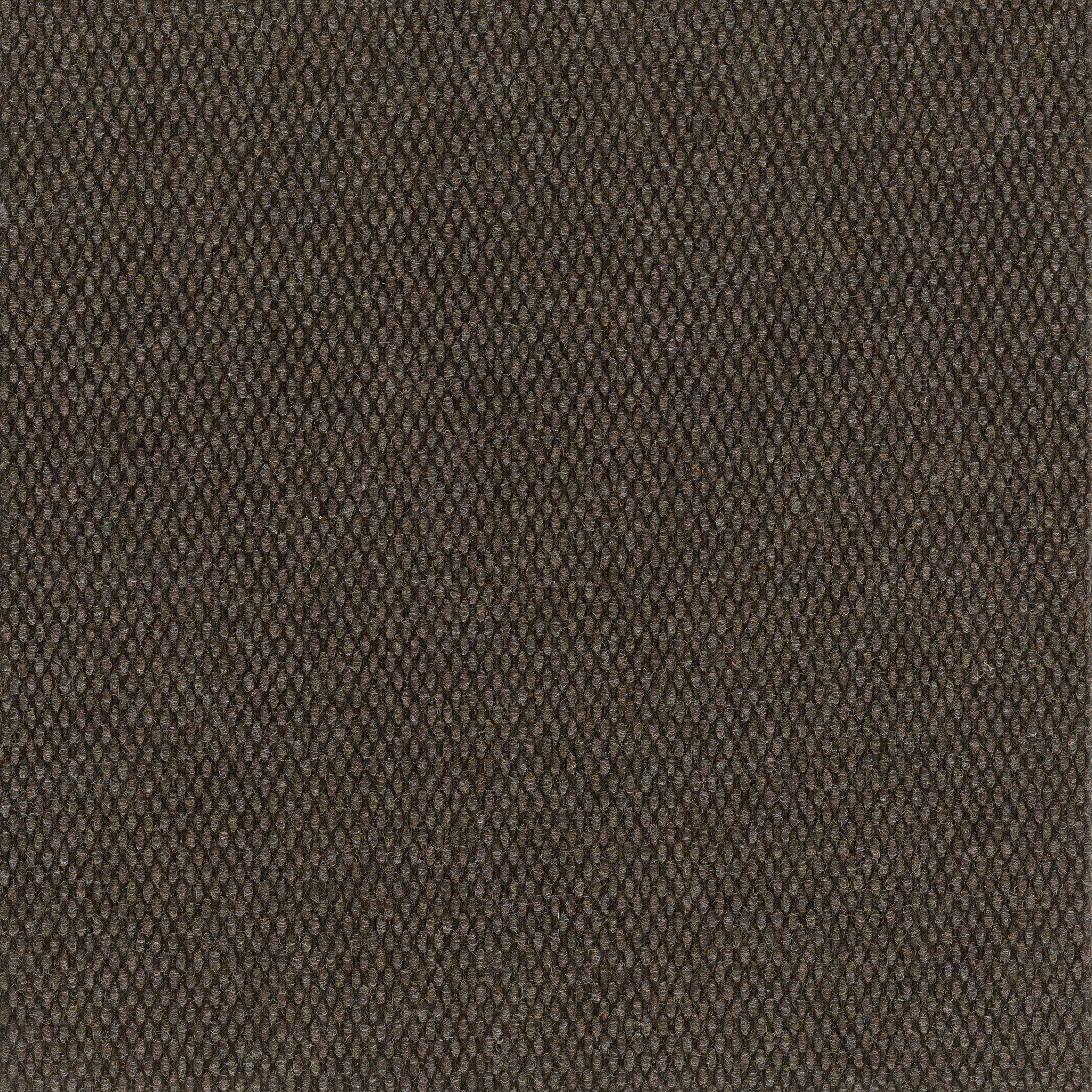 Commons II-Volcanic-54693_00701