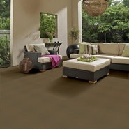 SUCCESSIONII-BL-54694-HAMMERED-00200-room-image