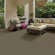 SUCCESSIONII-BL-54694-SIERRA-SAND-00700-room-image