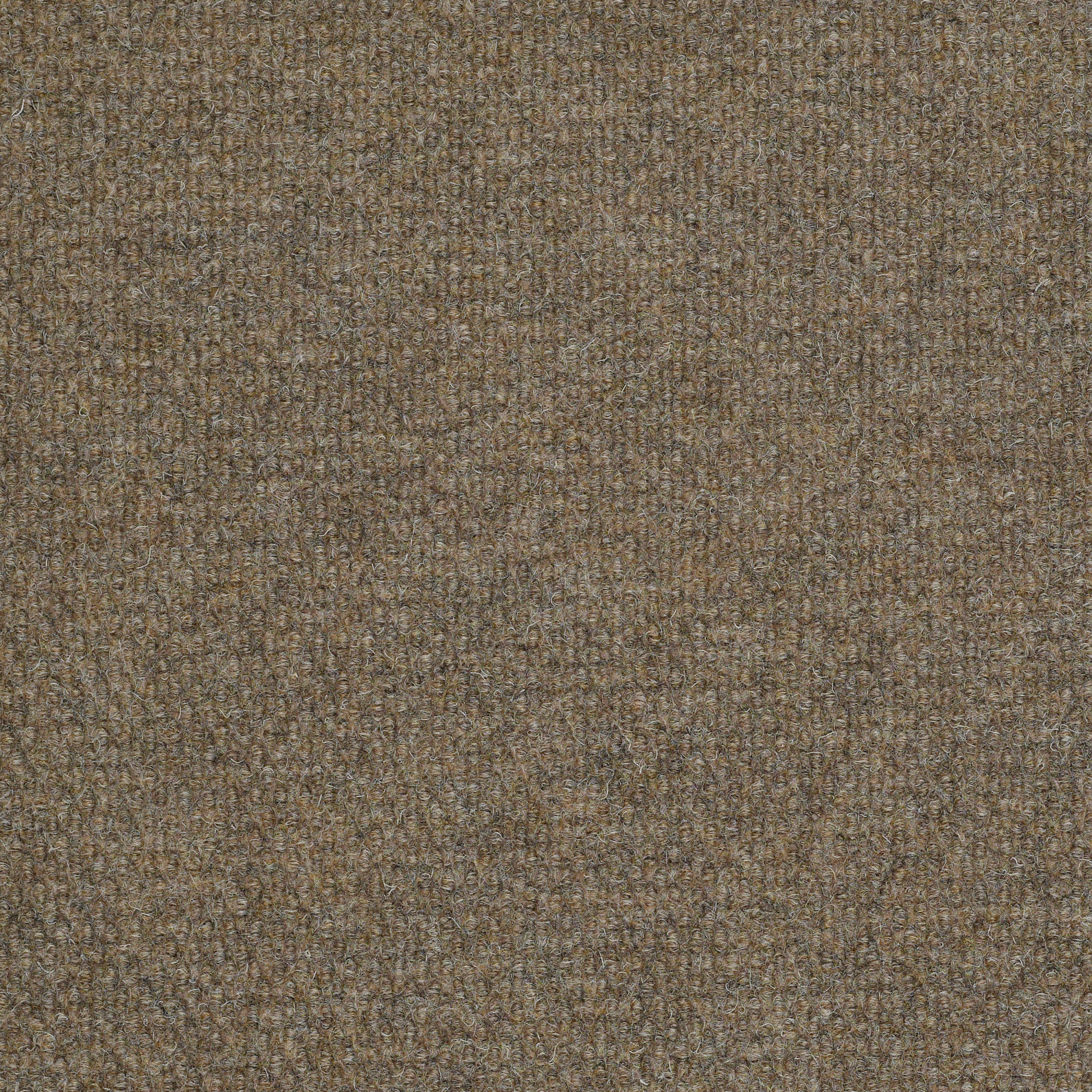 Successionii Bl-Sierra Sand-54694_00700