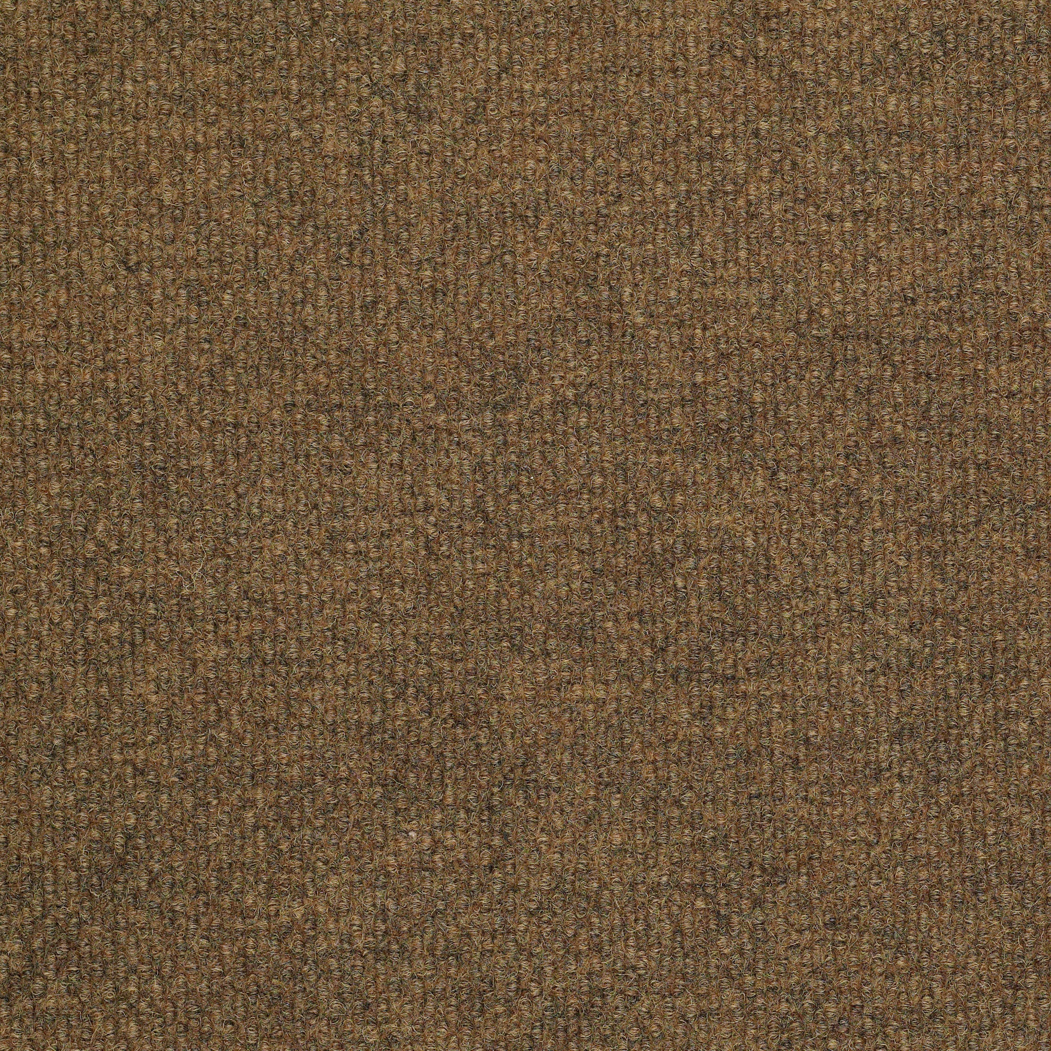 Succession II Tl - Hammered - 54695_00200