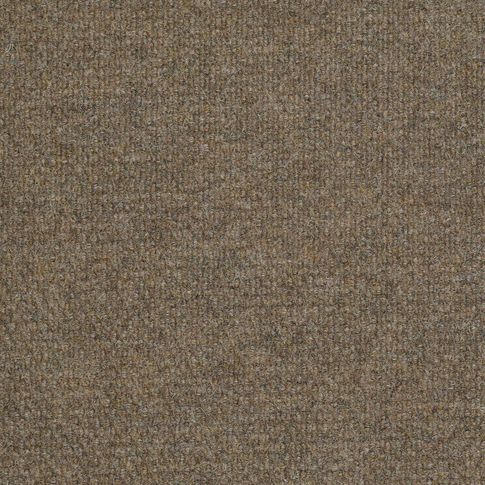 Succession II Tl-Sierra Sand-54695_00700