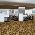 NEW-BAY-54705-HAWTHORN-05700-room-image
