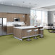 SOLID-STRUCTURE-5470V-CITRUS-00310-room-image