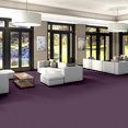 SOLID-STRUCTURE-5470V-CURRANT-00900-room-image