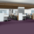 SOLID-STRUCTURE-5470V-CURRANT-00900-room-image