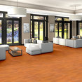 ORGANIC-STRUCTURE-5471V-SPICY-05303-room-image