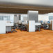 ORGANIC-STRUCTURE-5471V-LIVELY-08311-room-image