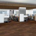 ORGANIC-STRUCTURE-5471V-RICH-09572-room-image