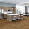 ORGANIC-STRUCTURE-5471V-TOAST-09634-room-image