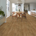 ORGANIC-STRUCTURE-5471V-TOAST-09634-room-image