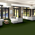 FREE-TIME-UNITARY-54732-FIELD-GREEN-00300-room-image