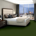 FREE-TIME-UNITARY-54732-FIELD-GREEN-00300-room-image