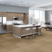 LUCKY-BREAK-54734-FORTUNATE-34205-room-image