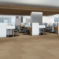 LUCKY-BREAK-54734-FORTUNATE-34205-room-image