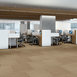 LUCKY-BREAK-54734-FORTUNATE-34205-room-image