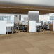 LUCKY-BREAK-54734-FORTUNATE-34205-room-image