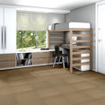 LUCKY-BREAK-54734-STRIKE-IT-RICH-34210-room-image