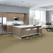 FRANCHISE-II-28-54744-WOODLAND-00240-room-image