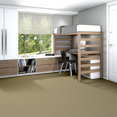FRANCHISE-II-28-54744-WOODLAND-00240-room-image