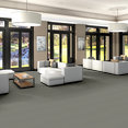 FRANCHISE-II-28-54744-METEOR-STONE-00520-room-image
