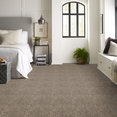 FRANCHISE-II-28-54744-RIVERROCK-00720-room-image