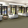 FRANCHISE-II-28-54744-BURLWOOD-00750-room-image