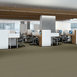 FRANCHISE-II-28-54744-BURLWOOD-00750-room-image