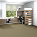 FRANCHISE-II-26-54745-WOODLAND-00240-room-image