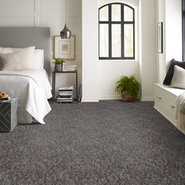 FRANCHISE-II-26-54745-GRANITE-00500-room-image