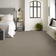 FRANCHISE-II-26-54745-RIVERROCK-00720-room-image