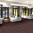 FRANCHISE-II-26-54745-SALSA-00800-room-image