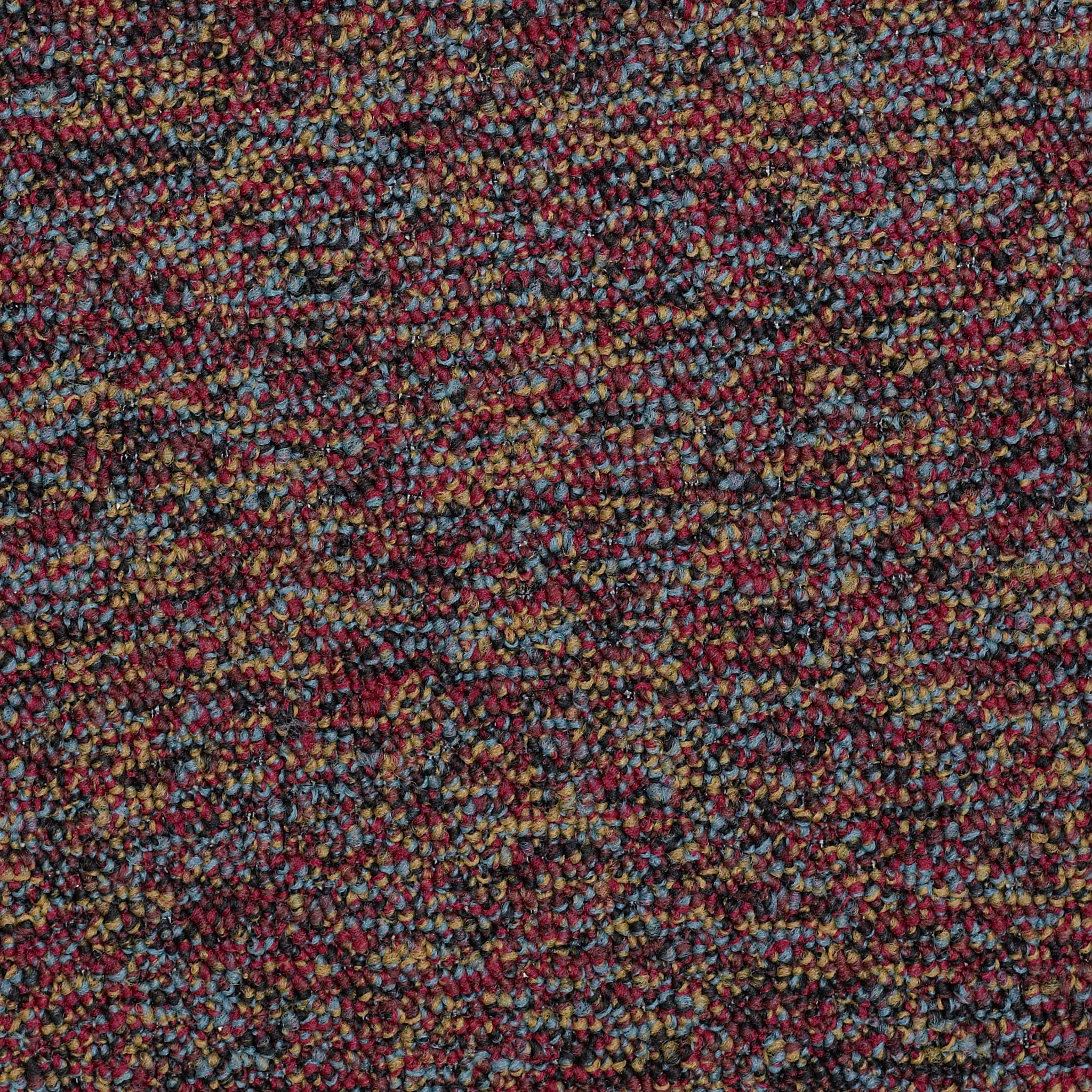 Franchise II 26-Salsa-54745_00800