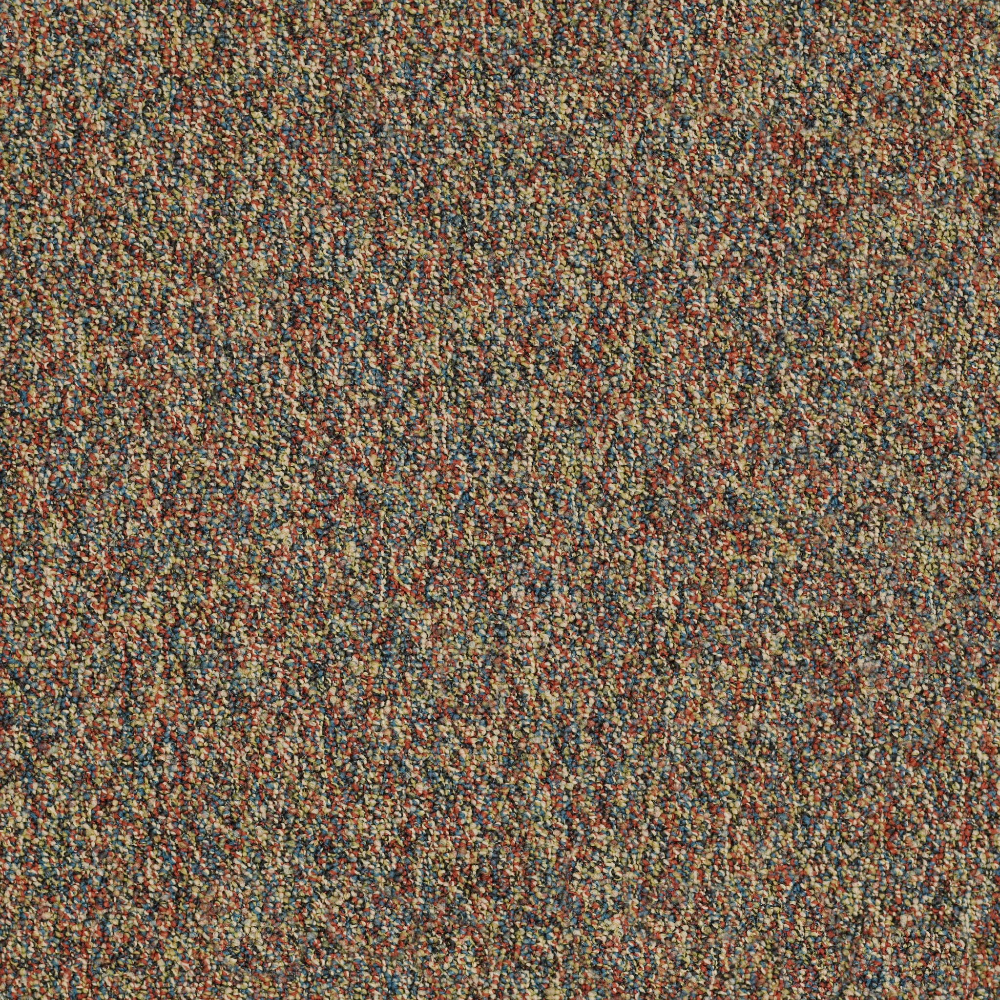 Franchise II 26-Riviera-54745_00810