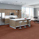 FRANCHISE-II-26-54745-RAISINBERRY-00820-room-image