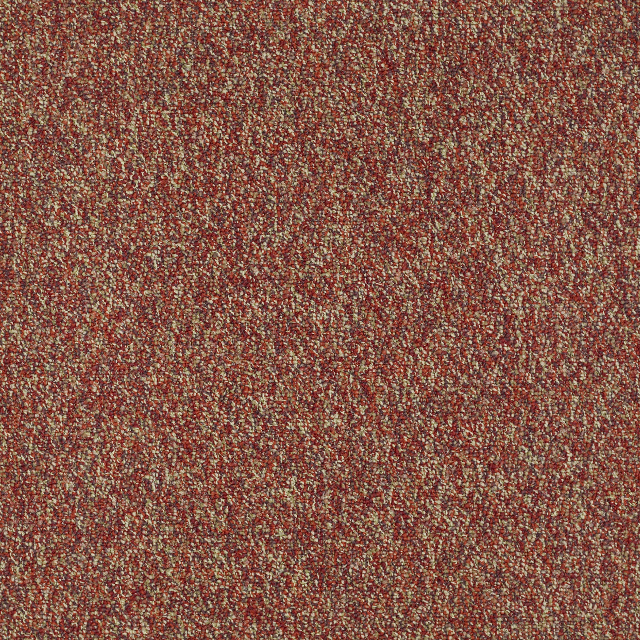 Franchise II 26-Raisinberry-54745_00820