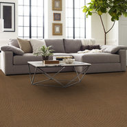 TRAVERSE-54748-MESA-BROWN-00701-room-image