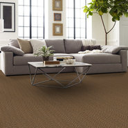 TREAD-ON-ME-54749-MESA-BROWN-00701-room-image