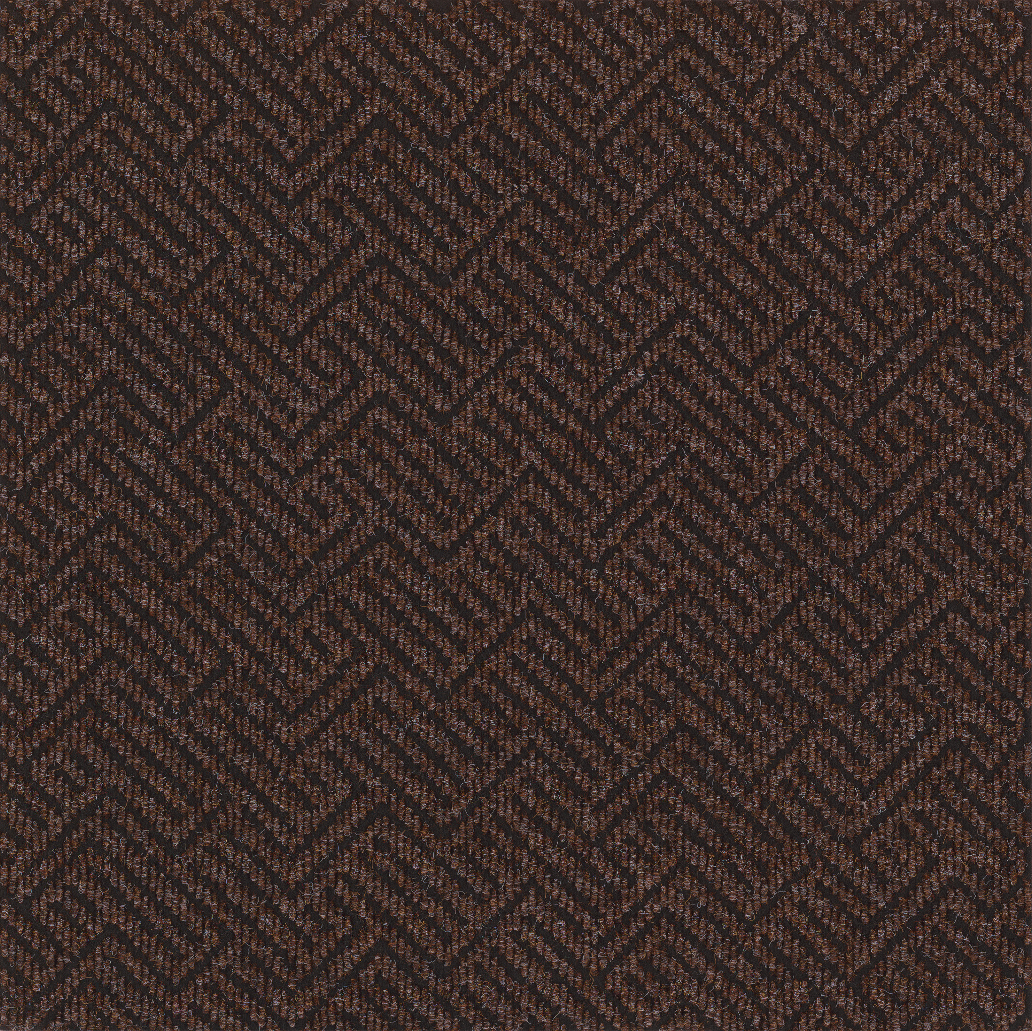 Tread On Me-Woodland Peat-54749_00702
