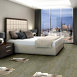 WONDER-54756-EMBRACE-SPIRIT-00100-room-image