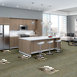 WONDER-54756-EMBRACE-SPIRIT-00100-room-image