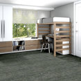 WONDER-54756-EMBRACE-TRUTH-00300-room-image